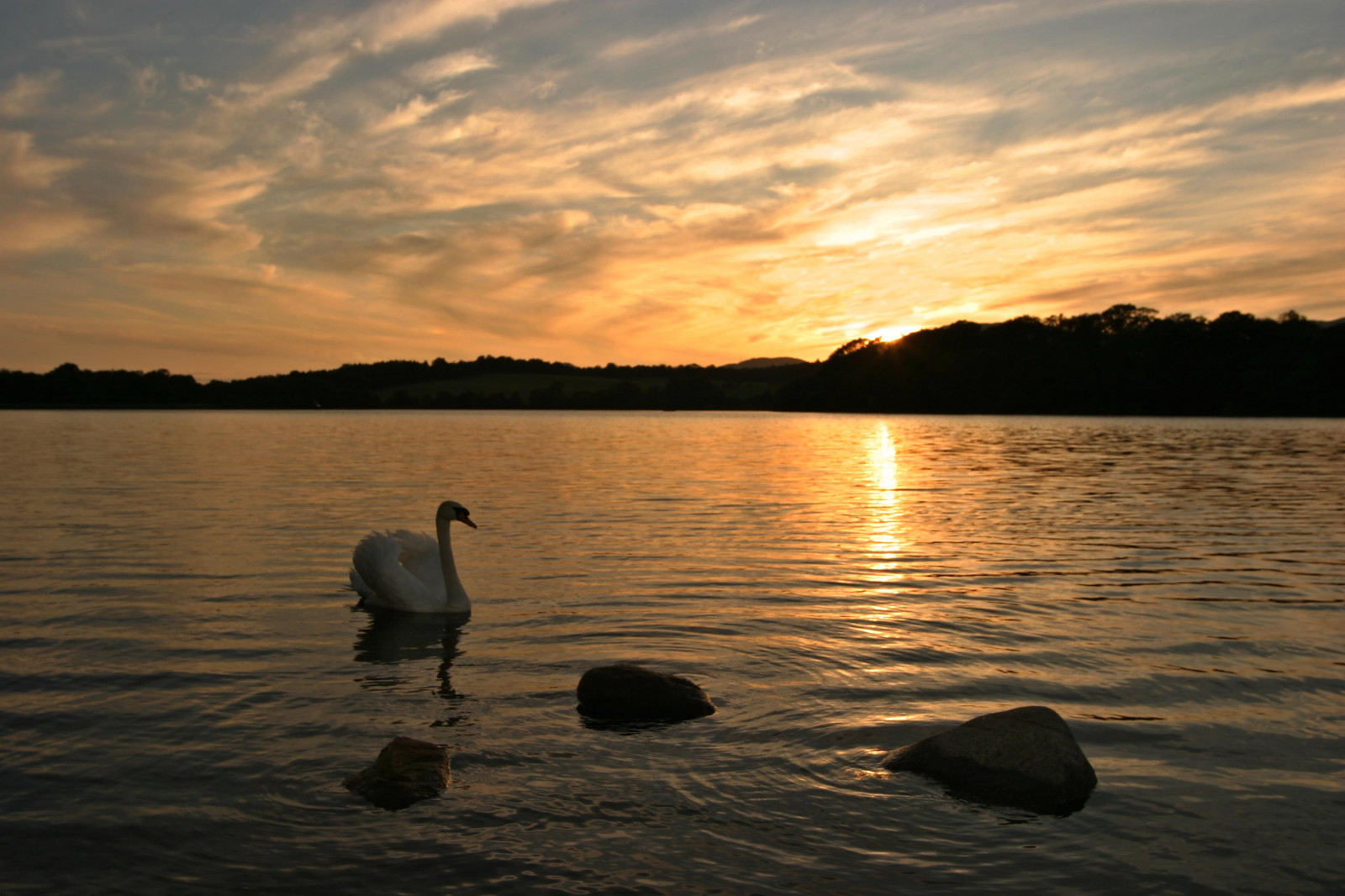 západ slunce, voda, krajina, Skotsko, labuť, skály, přehrada, sjednocený, Království, Davidson, Inverness, Greig, Gartmoran