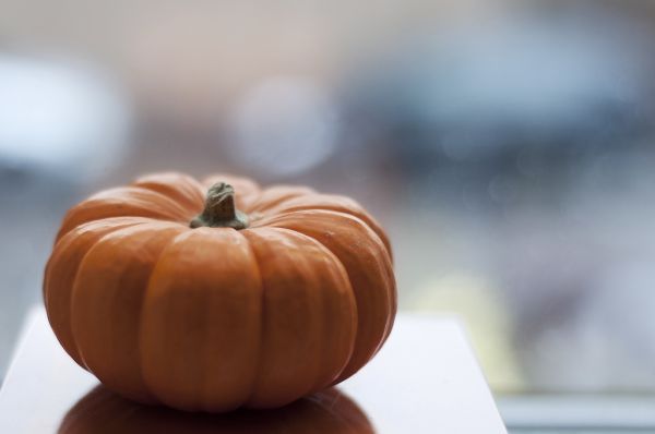 food,window,pumpkin,morning,orange,Mini