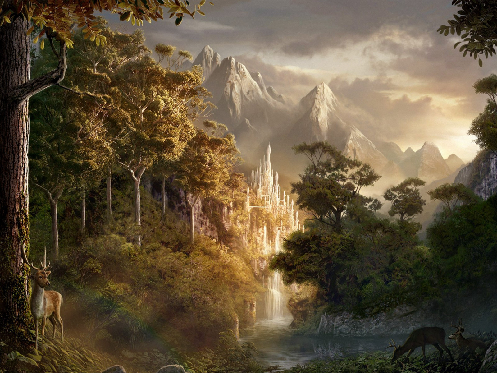 lumière du soleil, paysage, forêt, la nature, réflexion, Matin, brouillard, vallée, région sauvage, jungle, l'automne, capture d'écran, habitat, environnement naturel, Phénomène atmosphérique, Papier peint de l'ordinateur, caractéristique de l'eau
