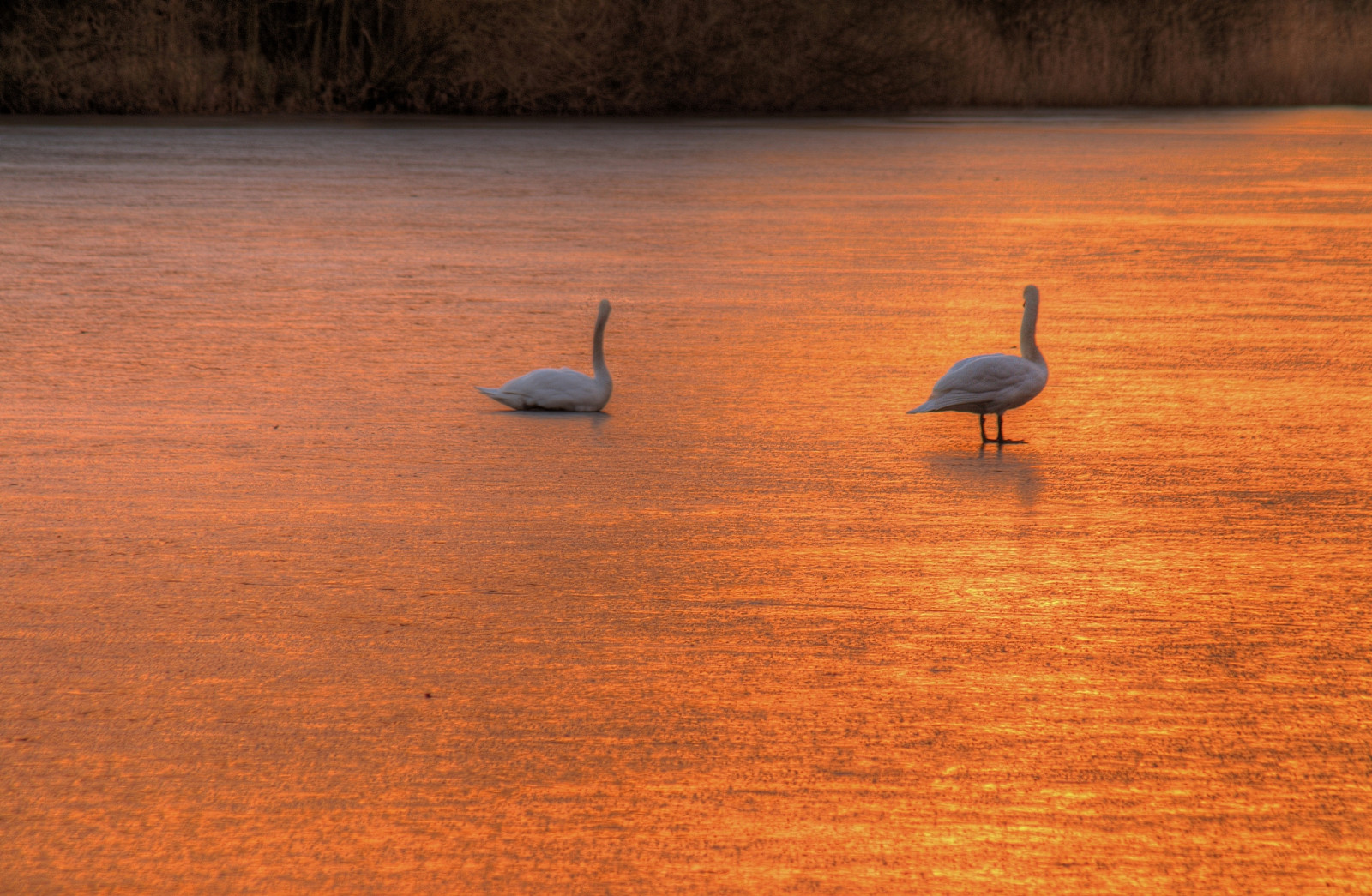 Wallpaper winter, sunset, lake, ice, nature, Canon, Germany