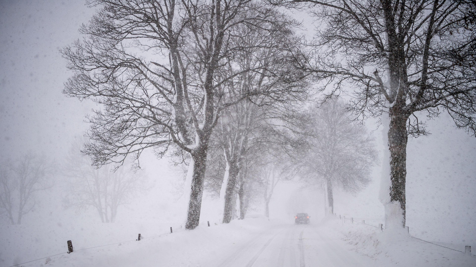 atmosfera, zăpadă, Natural landscape, copac, ramură, cer, crenguţă, ceaţă, lemn, gri, fenomen atmosferic, Congelare, plantă, plante lemnoase, dimineaţă, trompă, peisaj, Tints and shades, drum, iarnă, eveniment, îngheţ, monocrom, precipitare, Fotografie alb-negru, pădure, aburi, pantă, pădure, ceață, stradă, stock photography, suprafața drumului, agrement, seară, BANDĂ, furtuna de iarna, cu frunze căzătoare, tulpina plantei, gheaţă