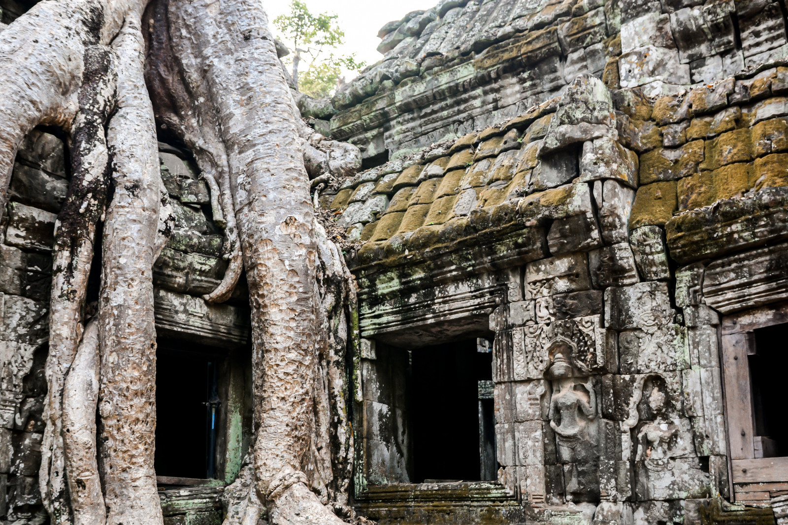 chrám, architektura, Asie, Skála, budova, Kambodža, dějiny, náboženství, zřícenina, Angkor, 2017, UMĚNÍ, strom, , buddhistické, fasáda, Siemreap, dávná historie, historické místo, archeologické naleziště, Tomb Raider, chrámy, Bayon, taprohm, Angelina Jolie, středověká architektura