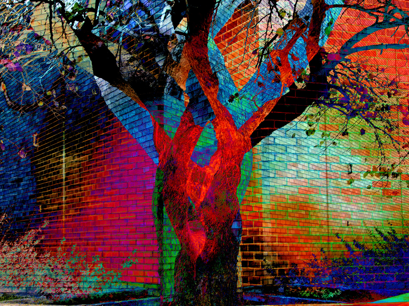 KUNST, træ, moderne kunst, psykedelisk kunst, maleri, plante, afdeling, mønster, graffiti, visual arts