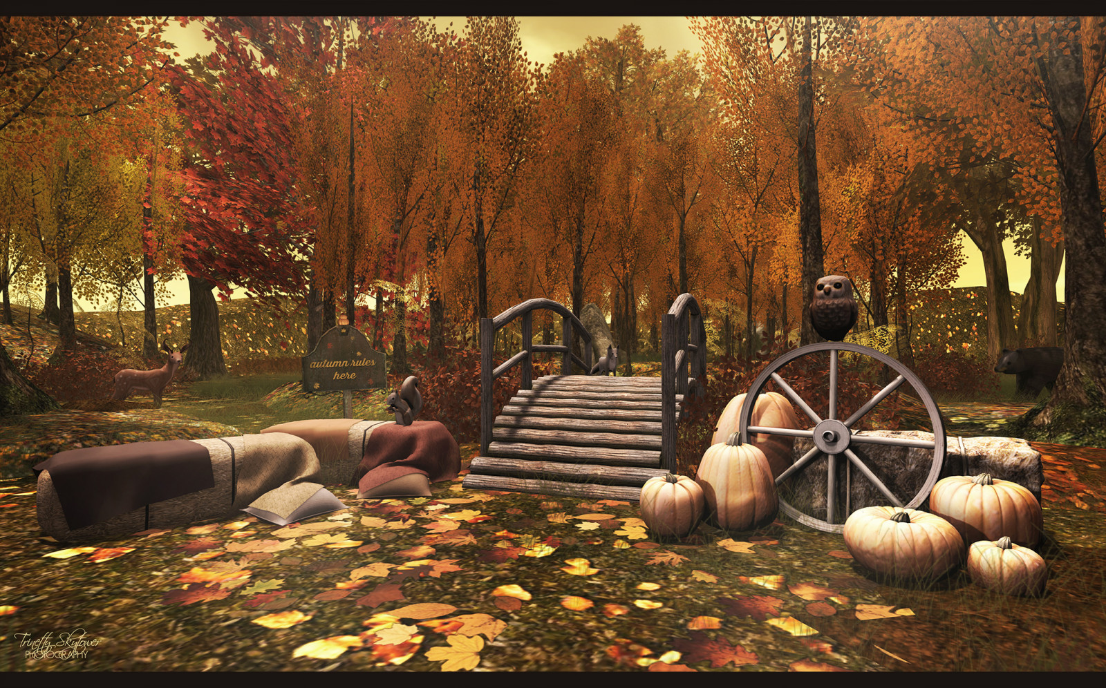 luce del sole, alberi, foresta, autunno, le foglie, mattina, le stagioni, pilota, portico, cortile, Virtuale, albero, autunno, stagione, zucche, boschi, digitale, botanico, SL, seconda vita, fameshed, collabor88, halfdeer, immagine dello schermo, bosco, rape, scava, 3dtrees, wereclosed, studioskye