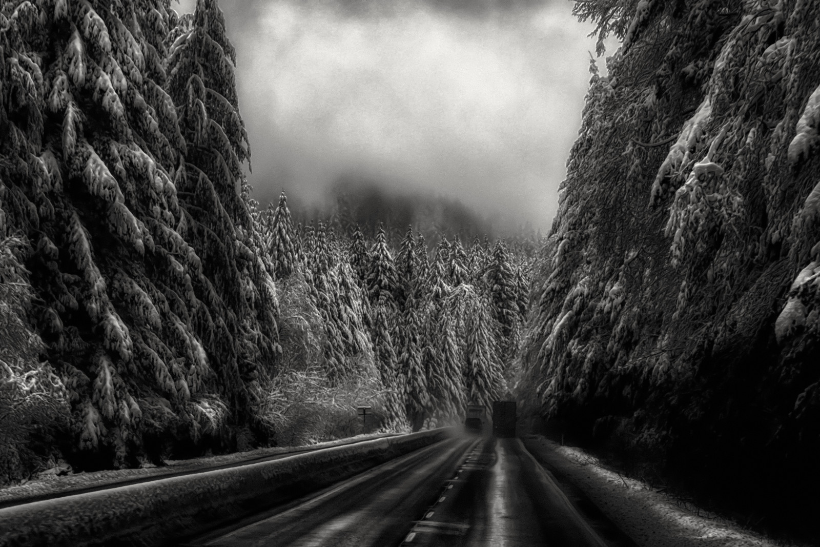 luce del sole, alberi, foresta, nero, monocromo, natura, erba, strada, fotografia, mattina, nebbia, infrastruttura, febbraio, 2017, leggero, bianco e nero, albero, tempo metereologico, pianta, bw, nevoso, oscurità, area rurale, habitat, fenomeno atmosferico, bianco e nero, fotografia in bianco e nero, pianta legnosa, PNW, lo stato di Washington, alvinharp, sonyilce7rm2, fe24240mm, autotrasporti, WA18, winteryscene, Snoqualmie, Northbend, bwwinter