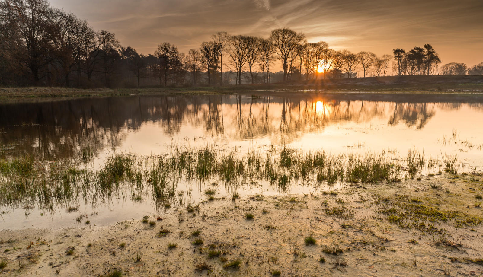 podzim, světlo, slunce, mlha, Studený, voda, Nizozemí, nahoru, mlha, Nijmegen, krajina, 1, zlatý, licht, pěkný, scenérie, nálada, Procházka, stativ, skvělý, Herfst, klidný, roos, mooi, 28, Martijn, Vennen, Landschap, koud, D600, hatertse, tamron2470, vennnen