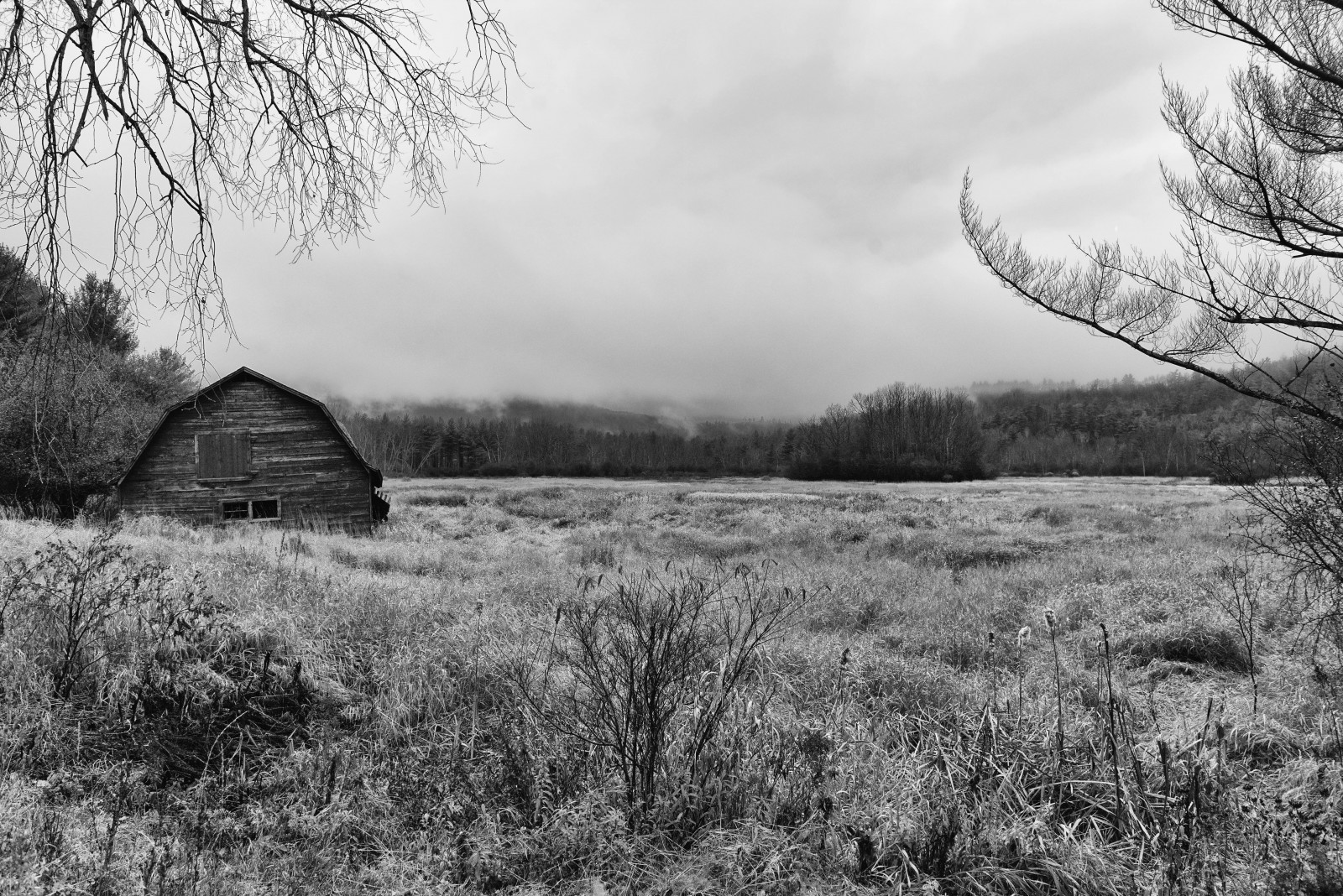 krajina, podzim, černobílý, okno, jezero, odraz, tráva, nebe, stín, zima, pole, fotografování, větev, Dům, Studený, ráno, mráz, ponurý, mokrý, stodola, divočina, jaro, zmrazení, mrak, strom, mlha, hora, počasí, rostlina, strašidelný, špatný, louka, zálesí, prérie, adirondack, venkov, Černý a bílý, monochromatické fotografování, klidný, salta, Pozůstalý, Fisher-Price, goingnowhere, guapas, NDC, emelexista, southernbreeze, qroo, quesevayantodos, january27, tmntgame, porquetulovales, pdrtv, Dota 2, worldvisiongifts, eljugadordelpartido, migraduacionslc, fpwishlist, holidayexperts, migraduacionidea, nadeshotonellen, latinamericagocrazy, alamodrivehappy, nickcincotta, jesseoninsider, miercolesdemhoni, siamasadios, dtnoratinho, chipdavidlark, migraduacioncala, migraduacionmdei, groovein3days, latingrammynoms, usaricecan, thexfactornosony, targetredcardca, handmadehourusa, ahokway, Pikinické, I73, stock photography