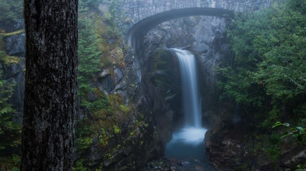 nature,landscape,trees,long exposure,clouds,mountains