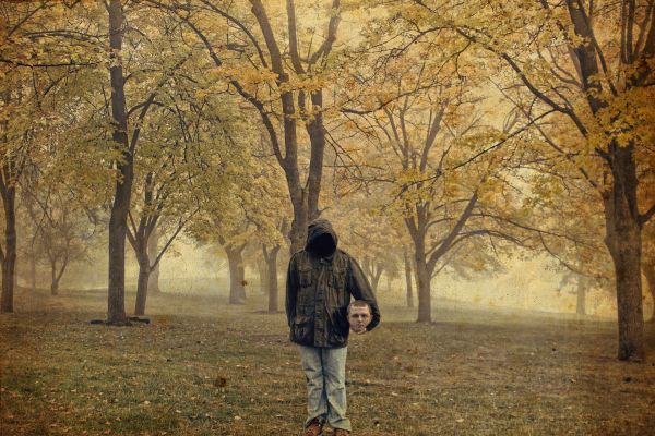 park,morning,autumn,trees,selfportrait,shadow