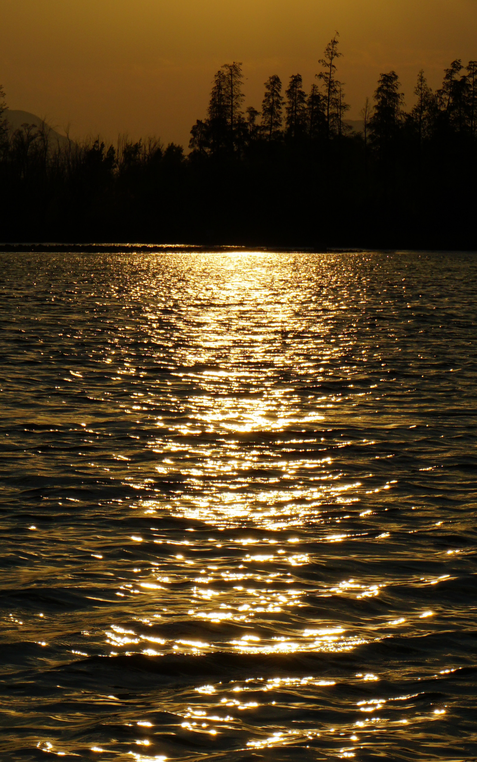 Image 13