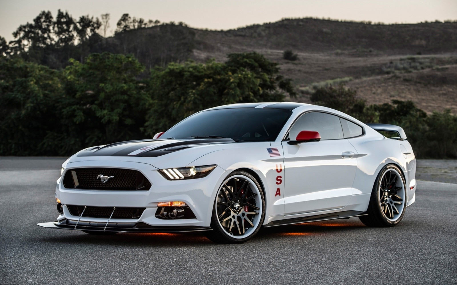 Ford mustang apollo
