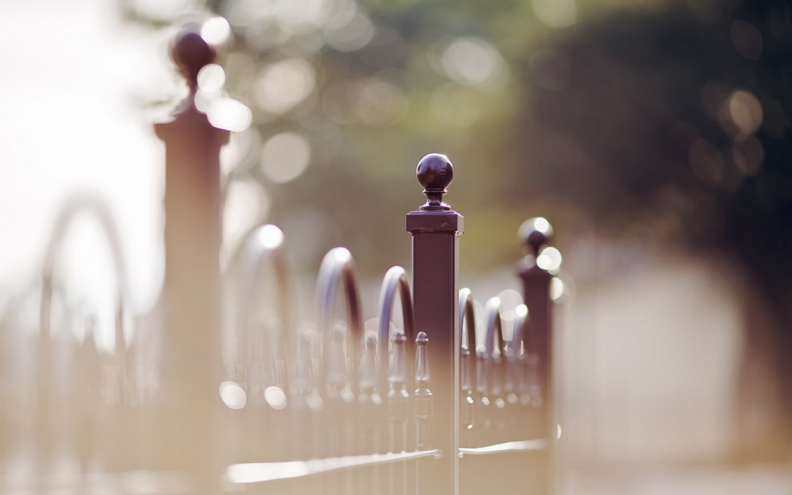 Wallpaper white, depth of field, morning, blurred, fence, bokeh