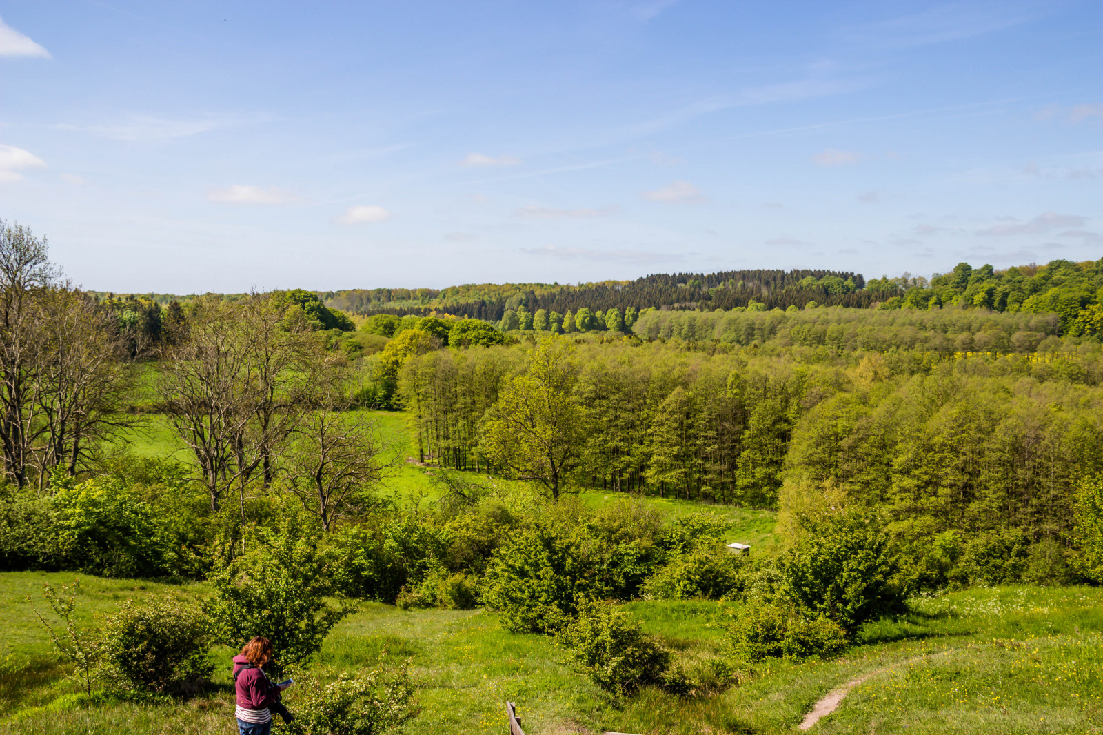 krajina, les, kopec, Příroda, tráva, pole, zelená, divočina, strom, podzim, list, květ, lučina, rostlina, pastvina, landsbygd, f lt, vegetace, landskap, Kamera aby kánon, geolocation, EXIF čočka efs18200mmf3556is, exif aby kánon, EXIF isospeed 100, EXIF otvor 90, exif focallength 20mm, gr n, Model fotoaparátu canoneos100d, exif modelu canoneos100d, fyledalen, benestadbackar, countyside, Kull, louka, zálesí, venkov, místo výskytu, přírodní prostředí, dřevina, ekosystém, biome, keř