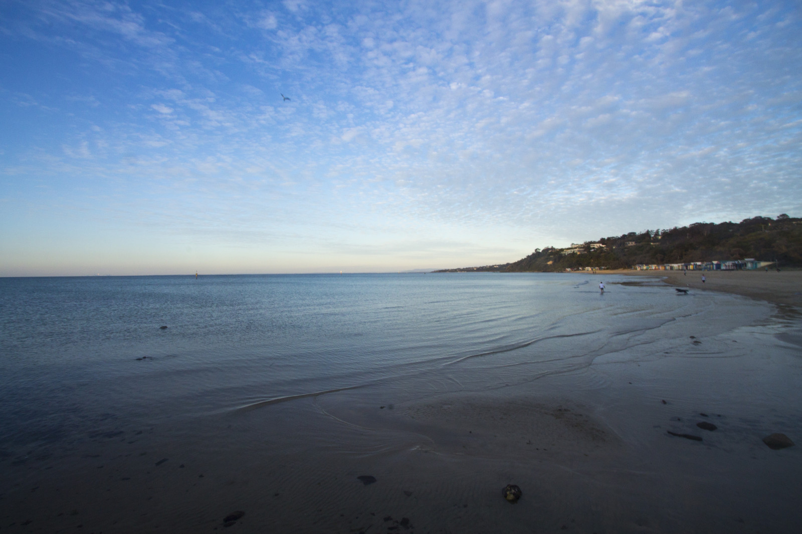 slunečnímu záření, západ slunce, moře, záliv, pobřeží, písek, odraz, nebe, pláž, svítání, ráno, pobřeží, horizont, laguna, soumrak, Austrálie, Victoria, široký úhel, mrak, svítání, oceán, pláže, vlna, Mornington, Morningtonský poloostrov, teleobjektivu, tělo z vody, mořská vlna