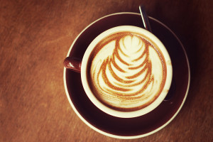 チェルシー デスクトップ壁紙 デスクトップ壁紙 Wallhere