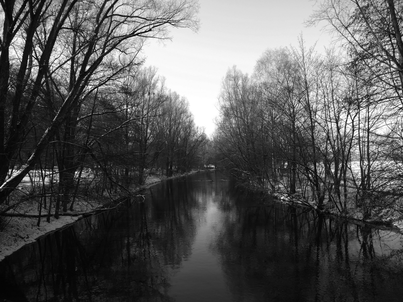 řeka, zima, stromy, černobílý