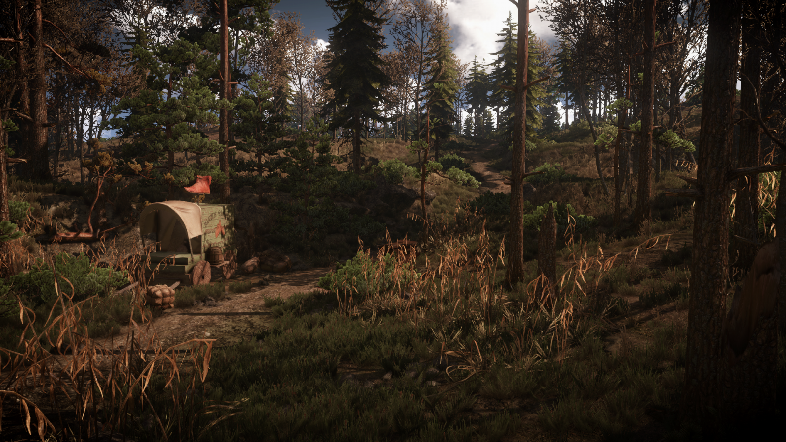 les, videohry, Příroda, Witcher 3 Wild Hunt, divočina, džungle, strom, podzim, sezóna, zálesí, místo výskytu, přírodní prostředí, ekosystém