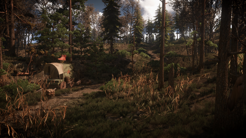 foresta, videogiochi, natura, The Witcher 3 Caccia Selvaggia, natura selvaggia, giungla