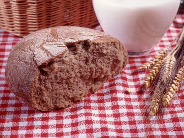 food, bread, breakfast, dessert, milk, ears