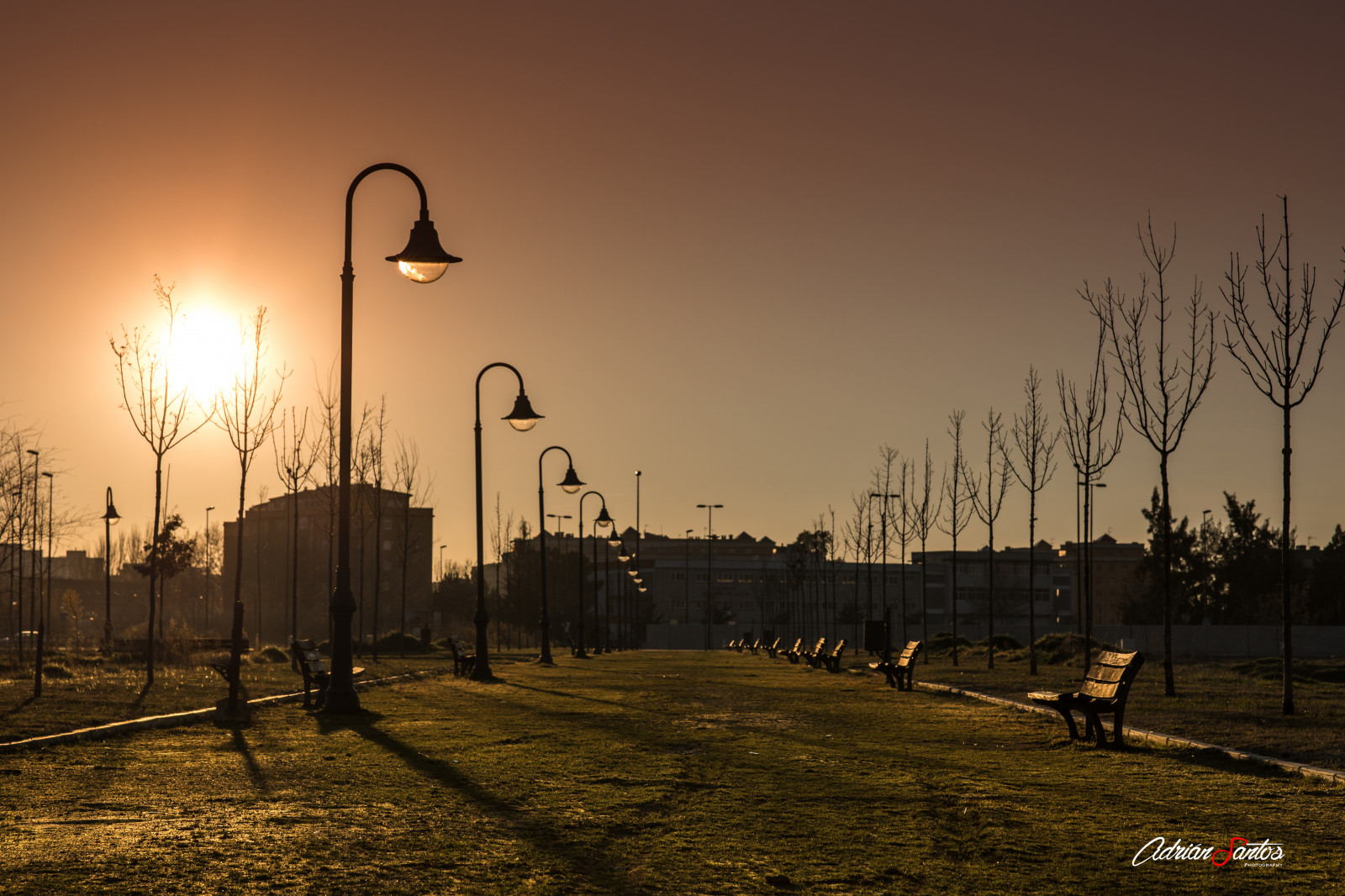 stromy, krajina, pouliční osvětlení, západ slunce, noc, opuštěný, tráva, nebe, park, zima, svítání, večer, ráno, lavice, slunce, Kánon, sama, horizont, atmosféra, soumrak, cesta, slunce, mrak, strom, svítání, osamělý, rostlina, osvětlení, dof, cesta, invierno, atardecer, arboles, tma, canoneos5dmarkiv, parque, camino, pDC, Solitario, počítač tapeta, svítidlo, canoneos5d, banco, samyang85mm, Talavera, talaveradelareina