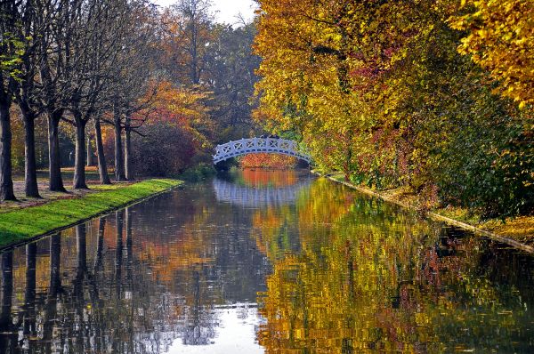 autumn,bridge,river,park,trees,reflection