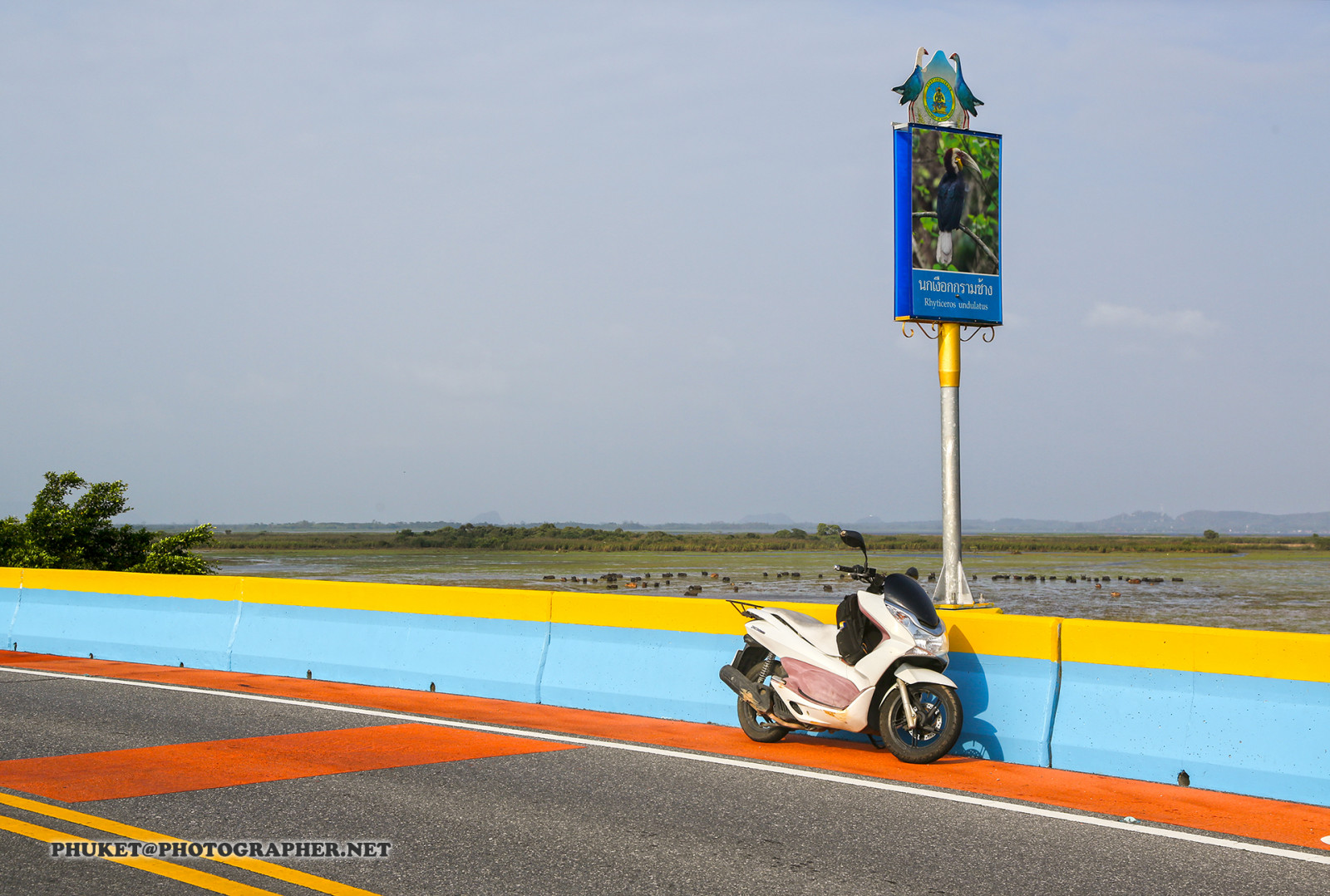 barca, mare, giardino, lago, acqua, erba, cappello, motociclo, veicolo, strada, caffè, vento, isola, Honda, tè, Malaysia, cactus, Guidare, da corsa, pesca, confine, Camion, bufalo, struttura, montagna, fiore, oceano, onda, gara, superficie, punto di vista, Phuket, yai, Noi, moto, cameron, Highlands, Provincia, Penang, georgetown, pcx, piantagione, Phangnga, thale, Songkhla, ipoh, Generatore, catturare, maiale, impianto sportivo, pista