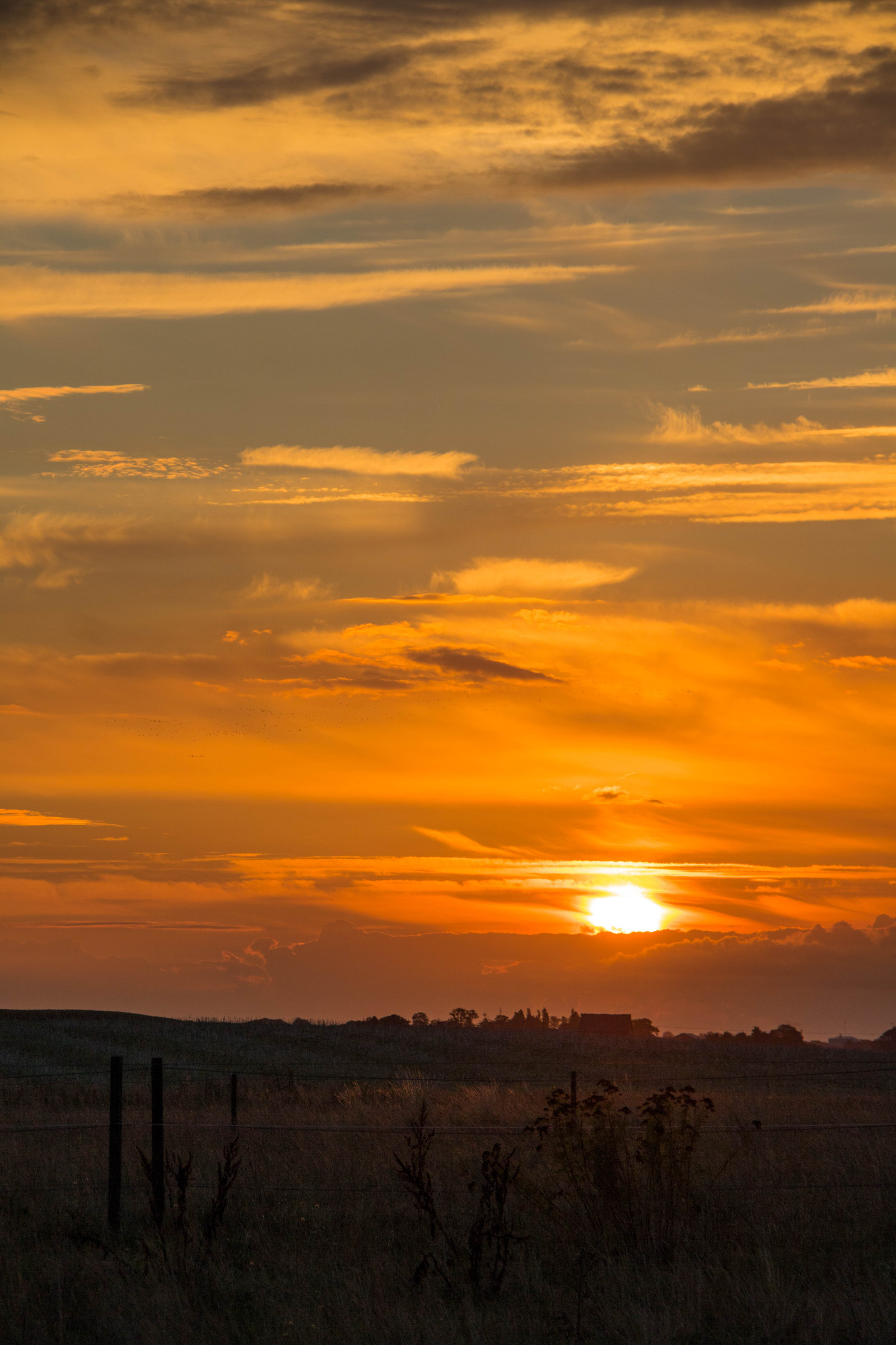 sollys, landskab, solnedgang, bakke, himmel, Mark, skyer, solopgang, aften, morgen, Sol, horisont, atmosfære, skumring, Sky, daggry, himmel, landskabet, landsbygd, soluppg ng, s dersl tt, landskap, almindeligt, prærie, atmosfærisk fænomen, efterglød, rød himlen om morgenen
