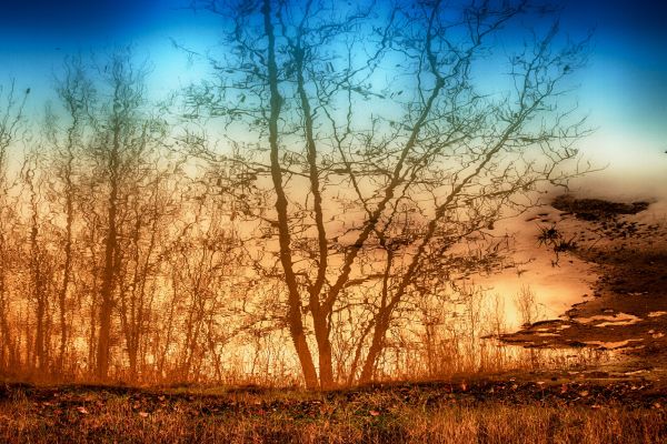 Wallpaper : sunlight, landscape, sunset, anime, nature, reflection ...