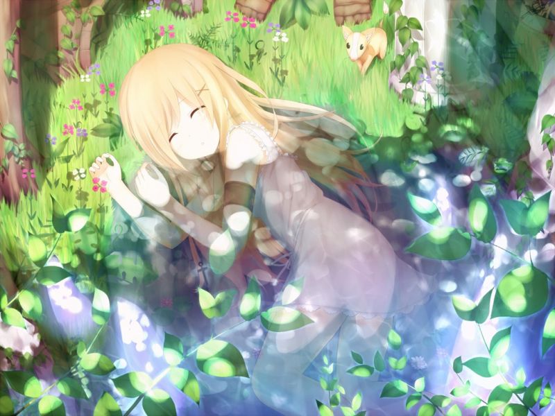 anime, manga, λουλούδι, νεράιδα, ζούγκλα, φανταστικός χαρακτήρας anime, manga, λουλούδι, νεράιδα, ζούγκλα, φανταστικός χαρακτήρας