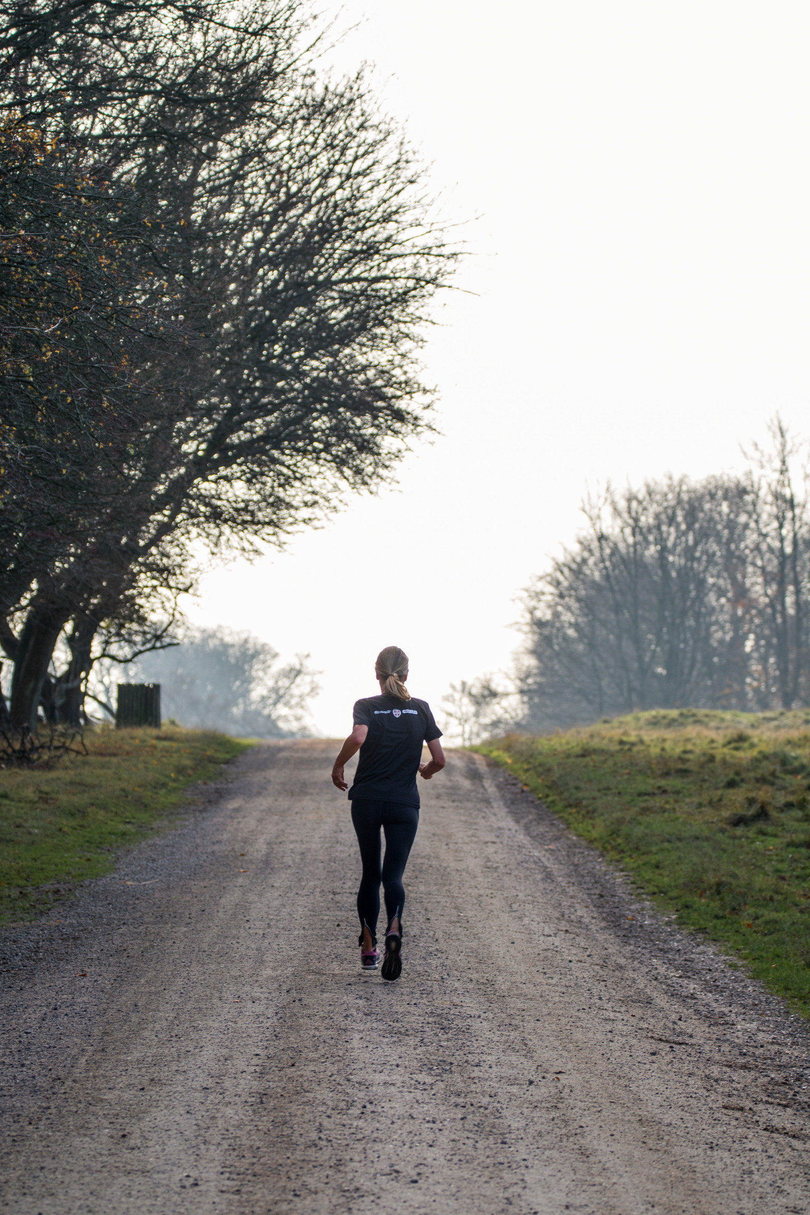 sport, Skov, mennesker, parkere, vej, sti, løb, Danmark, løbe, gå, efterår, m nniska, skov, danmark, skog, sti, exif model canoneos760d, geocountry, kamera gør kanon, geocity, kameramodel canoneos760d, geostate, geolocation, exif gøre kanon, exif isospeed 100, exif åbning 45, exif linse ef70300mmf456lisusm, VAG, Dyrehaven, j Gersborg, j gersborgdyrehave, exif focallength 112mm, rekreation, menneskelig handling, fysisk træning, friluftsliv