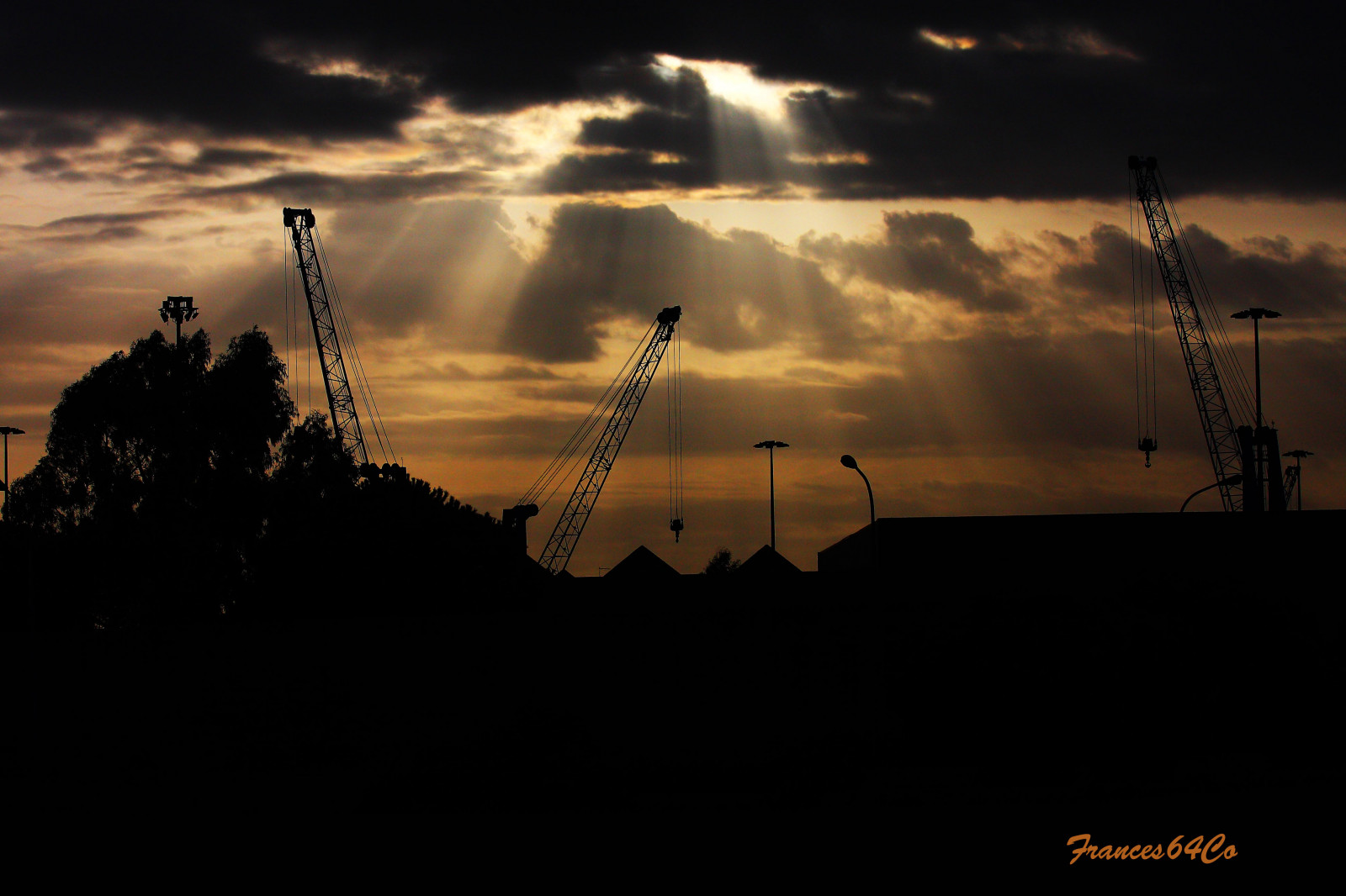 แนวนอน, พระอาทิตย์ตก, อิตาลี, ธรรมชาติ, ท้องฟ้า, ภาพเงา, พระอาทิตย์ขึ้น, ตอนเย็น, ดวงอาทิตย์, Canon, ขอบฟ้า, บรรยากาศ, ทอง, พลบค่ำ, ORO, Tramonto, เมฆ, 40d, คือ, รุ่งอรุณ, อิตาลี, Cielo, lazio, ความมืด, ม้า, เพียงผู้เดียว, eos, anawesomeshot, abigfave, acqua, Soe, flickrestrellas, aplusphoto, goldstaraward, นักทับทิม, พ.ศ. 2328, nuvole, บรรยากาศของโลก, สายัณห์, efs, ปรากฏการณ์ทางอุตุนิยมวิทยา, civitavecchia, goldstarawar, natu, platinumph