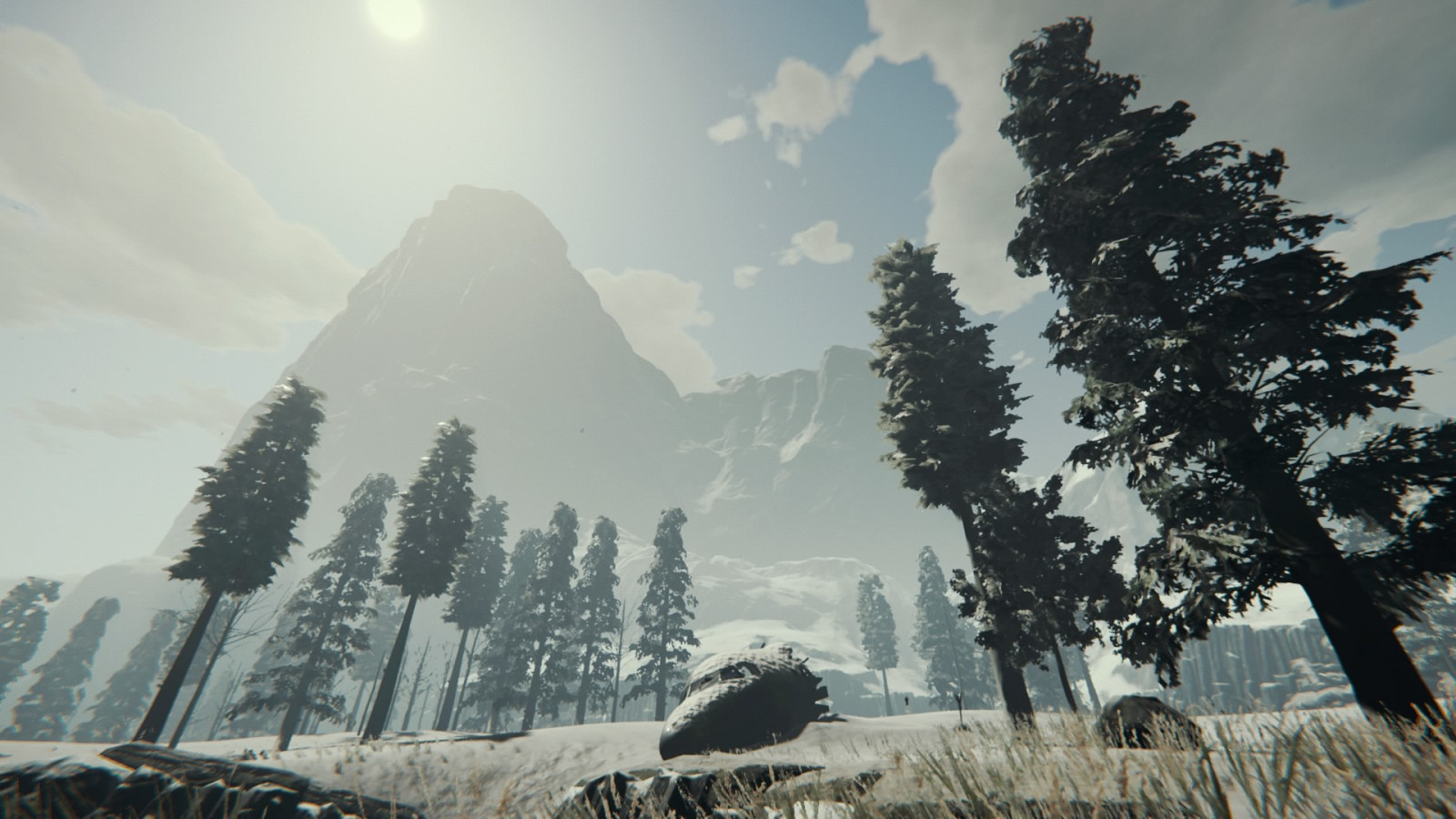 The Forest Seasons, 비디오 게임