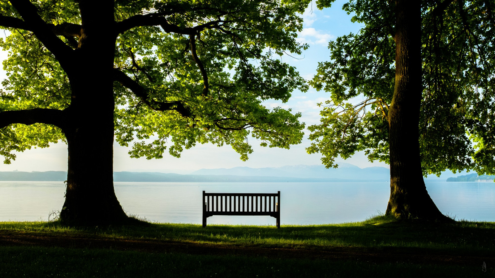 Resting Nature 배경 화면 : 햇빛, 나무, 바다, 자연, 잔디, 공원, 사진술, 녹색, 아침, 벤치, 혼자, 먼 전망, 휴식, 재산, 꽃 ...