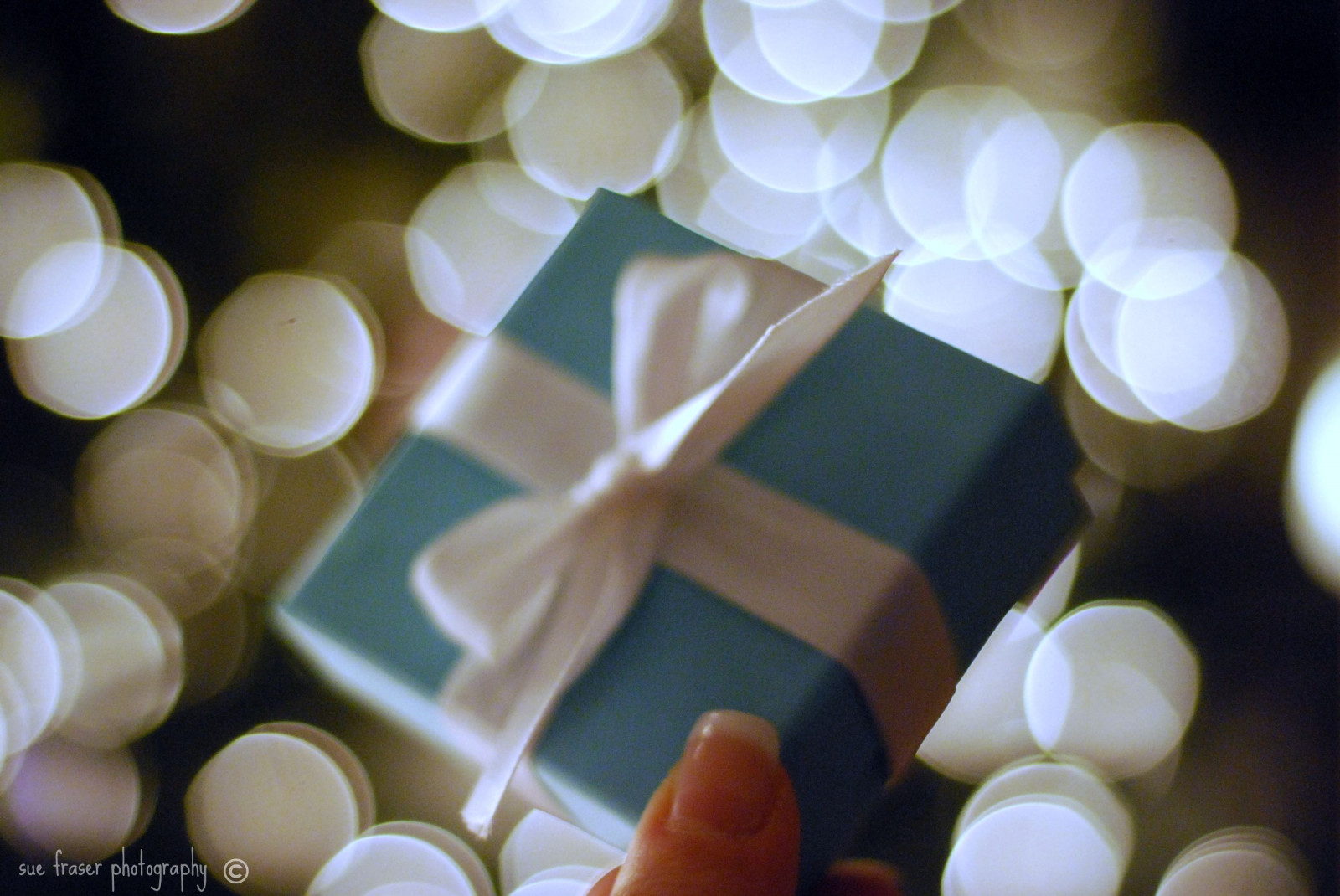 světla, bílý, jídlo, zelená, žlutý, kruh, Vánoce, bokeh, stuha, světlo, barva, Krásná, květ, osvětlení, ruka, tvar, dar, okvětní lístek, HBW, box, sladkost, zblízka, makro fotografie, příchuť, Suesue2, Sufraserphotography, Tiffany