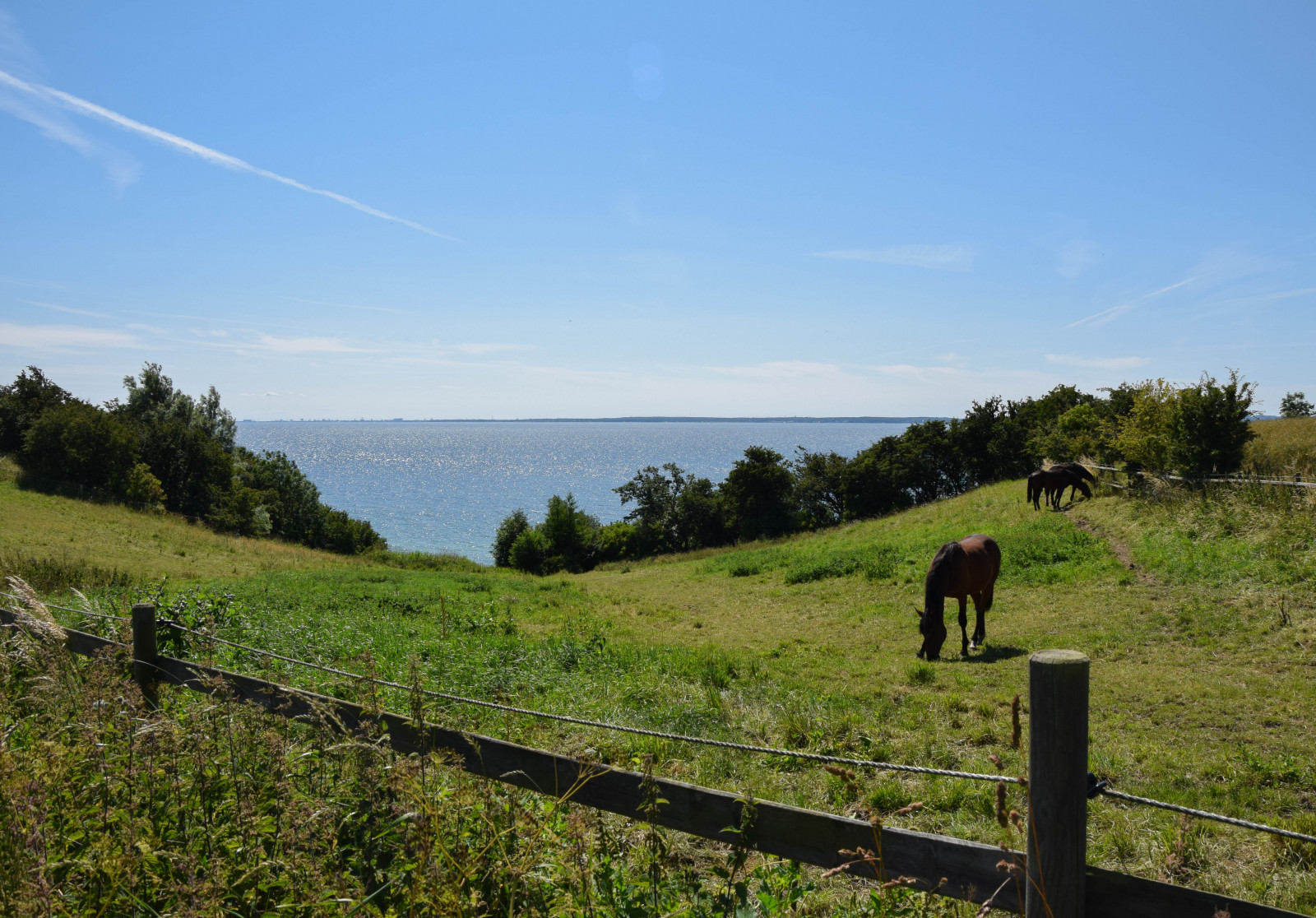 krajina, moře, kopec, voda, jízdní kolo, tráva, nebe, pole, mraky, pobřeží, hospodařit, ostrov, letní, Švédsko, hora, Pohled, oceán, resund, sk ne, venkov, Landskrona, koně, pastvina, bl nebe, ven, Hven, backafall, vingestig, h hvězda, zemědělství, louka, nádrž, vysočina, venkov, vodní