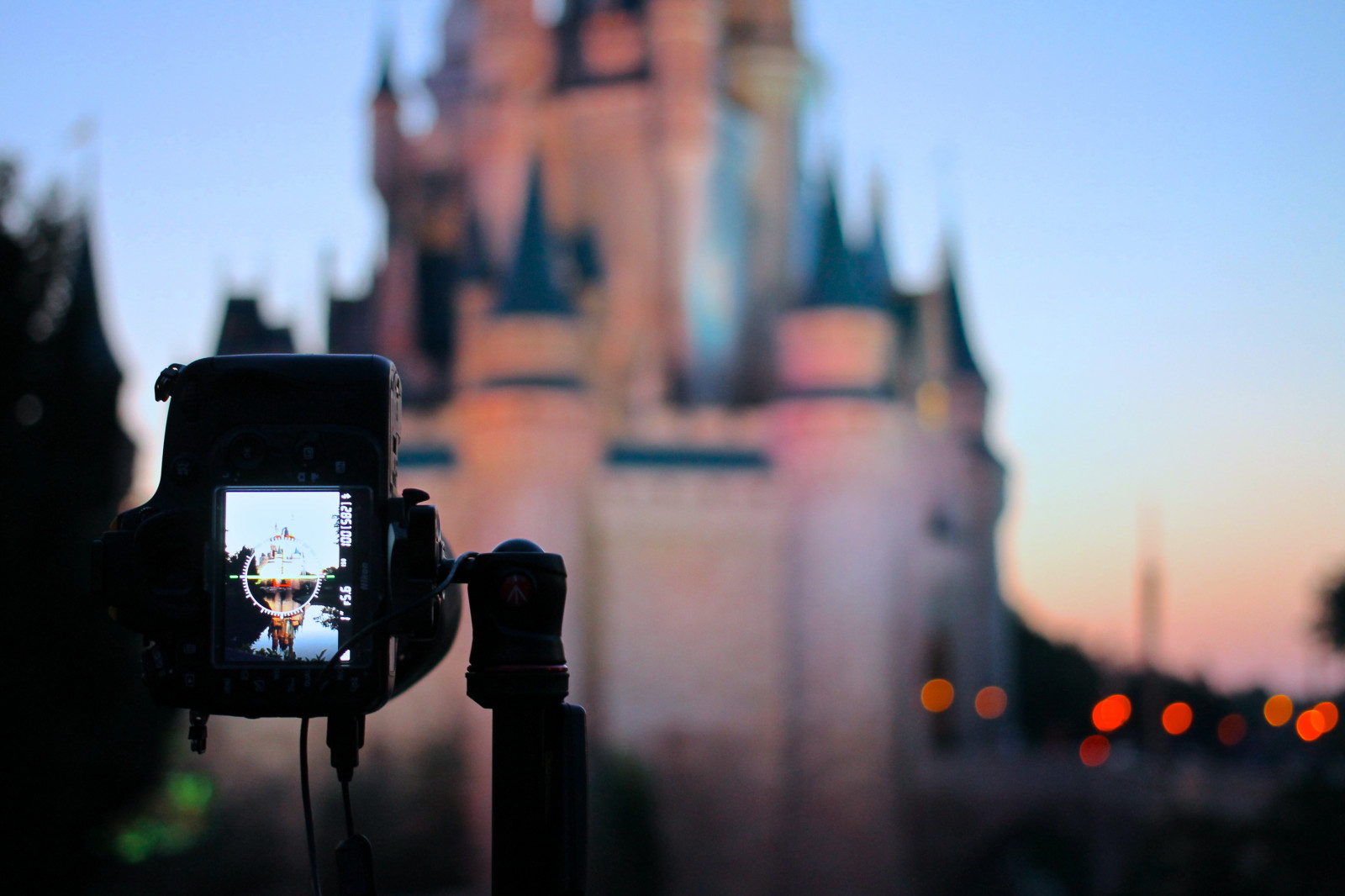 macchina fotografica, mattina, viaggio, rosa, blu, castello, Turismo, Alba, alba, Orlando, Florida, bokeh, Disney, WDW, il mondo di Walt Disney, mk, Regno magico, cinderellacastle, Disney24