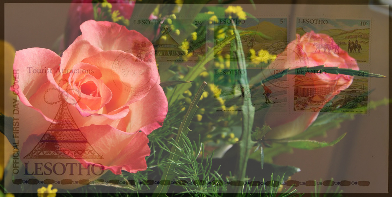 ดอกกุหลาบ, ลูกพีช, สีชมพู, ฤดูใบไม้ผลิ, ดอกไม้, ปลูก, พืช, กลีบดอก, rosa, Fiore, rememberthatmomentlevel1, วอลล์เปเปอร์คอมพิวเตอร์, พืชดอก, ดอกไม้, ต้นกำเนิด, ถ่ายภาพนิ่ง, กุหลาบสวน, กุหลาบครอบครัว, สั่งกุหลาบ, จัดดอกไม้, การออกแบบดอกไม้, floribunda, rosa centifolia, จีนเพิ่มขึ้น, cartpostal, cartolinapostale