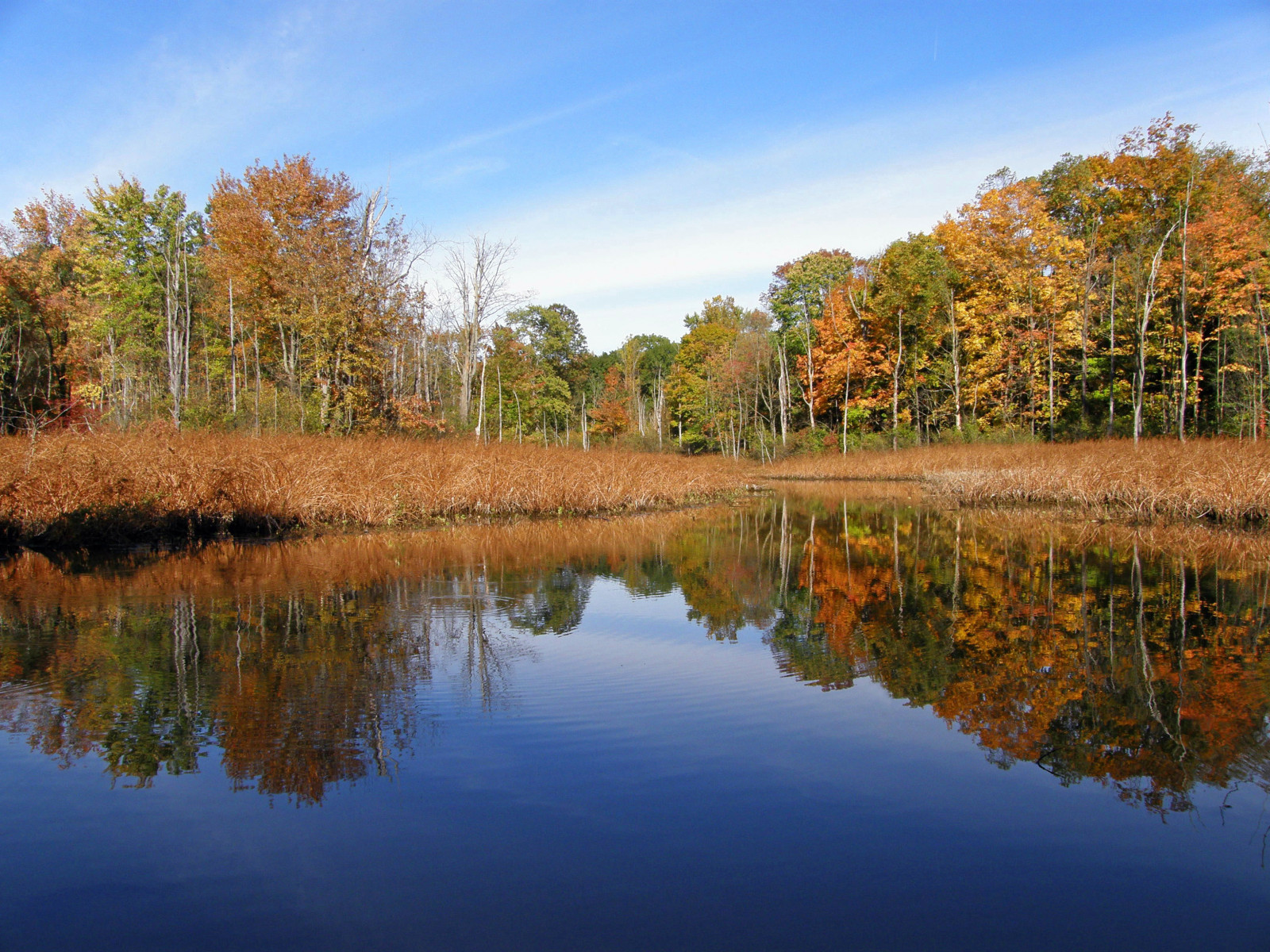 Herbst, Bäume, Ohio, Himmel, Betrachtung, fallen, Wasser, Wolken, Reflexionen, Teich, Teiche