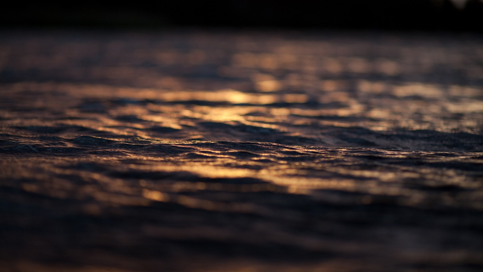 sollys, dybdeskarphet, solnedgang, hav, vann, natur, speilbilde, himmel, soloppgang, kveld, morgen, Sol, tekstur, horisont, atmosfære, skumring, lett, Sky, soloppgang, hav, bølge, mørke, 1920x1080 px, nærbilde, makrofotografering