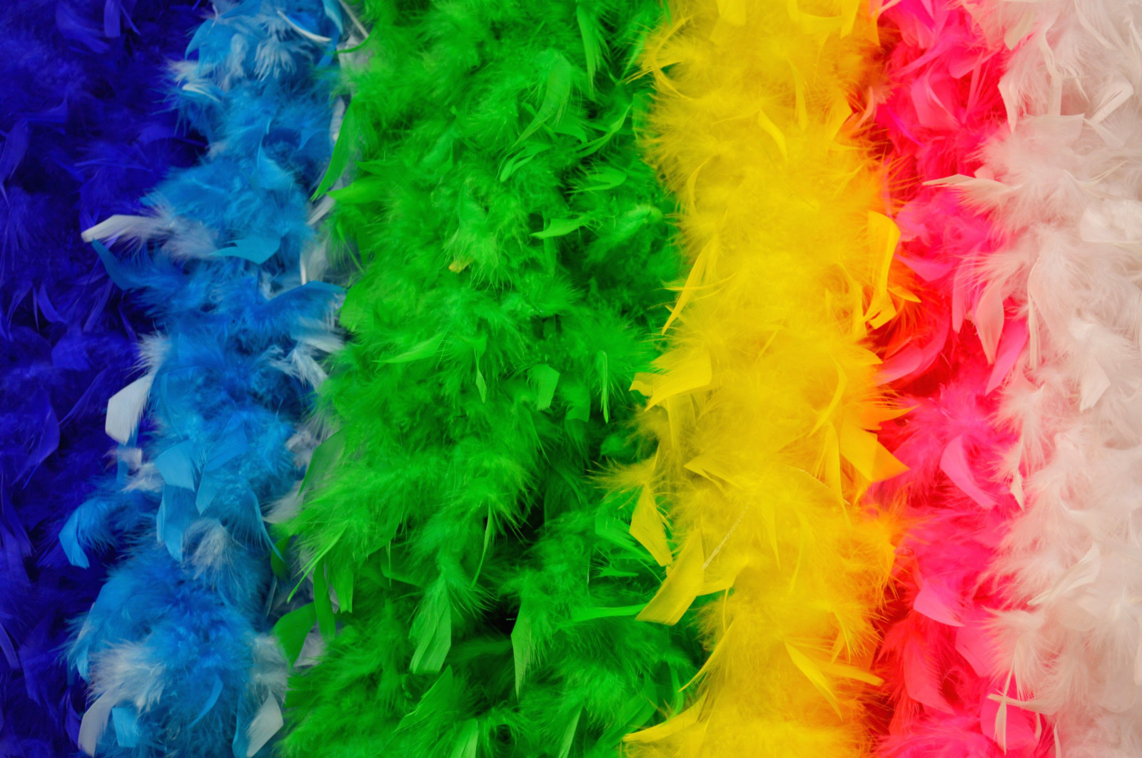 Wallpaper : 24, feathers, mardigras, boas, Nikon, 115picturesin2015