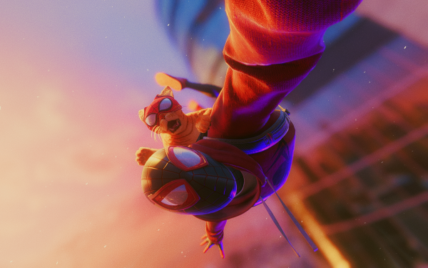 spider,Spider Man,MILES,Miles Morales,cat boy,city