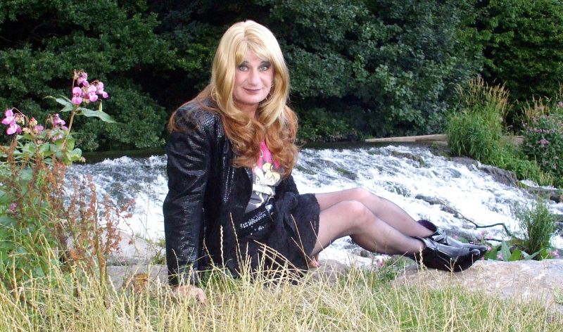 ragazza,pianta,erba,signora,seduta,albero