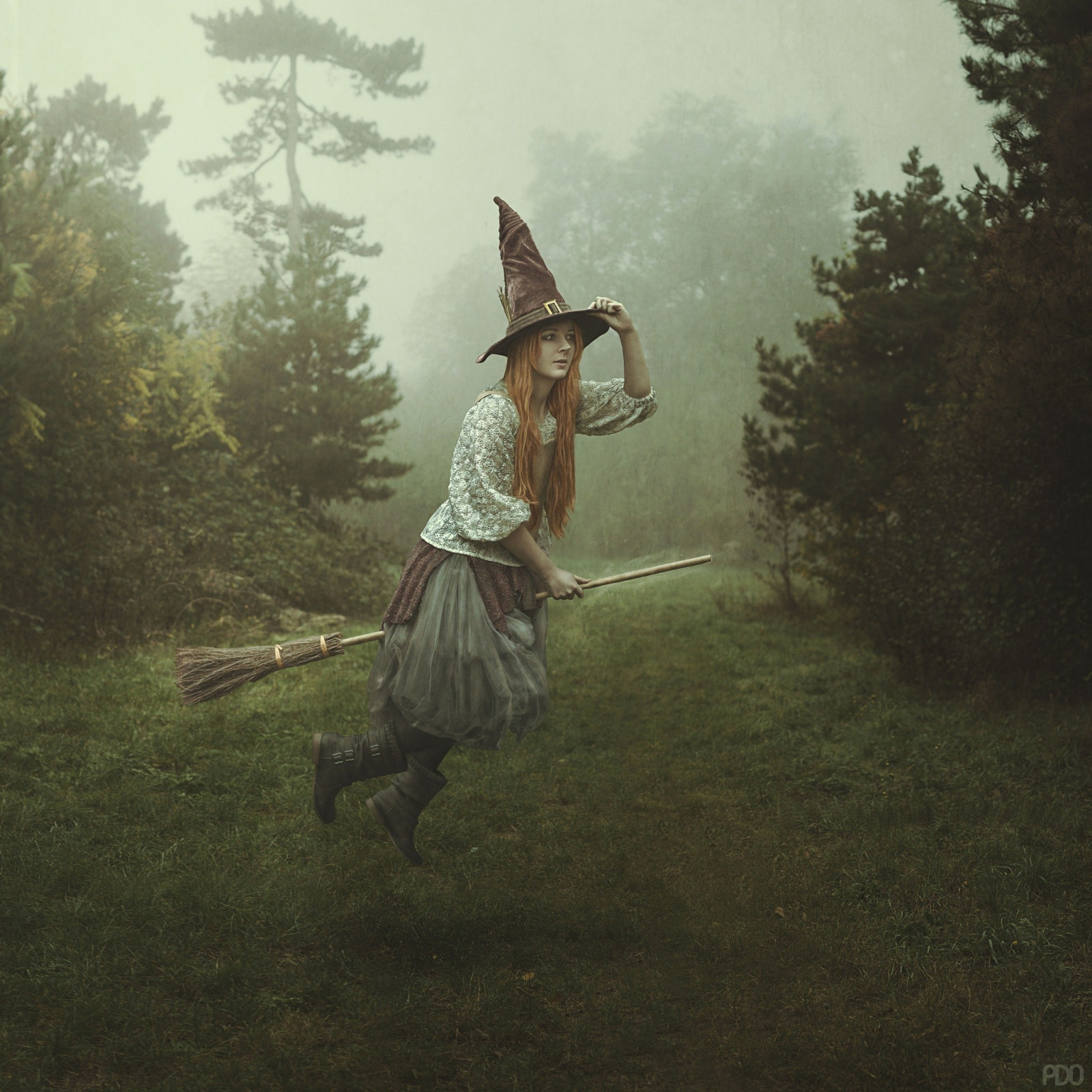 luce del sole, foresta, 500px, Fantasy art, Fantasy Girl, strega, Priscilla DO, autunno, oscurità, immagine dello schermo, personaggio fittizio