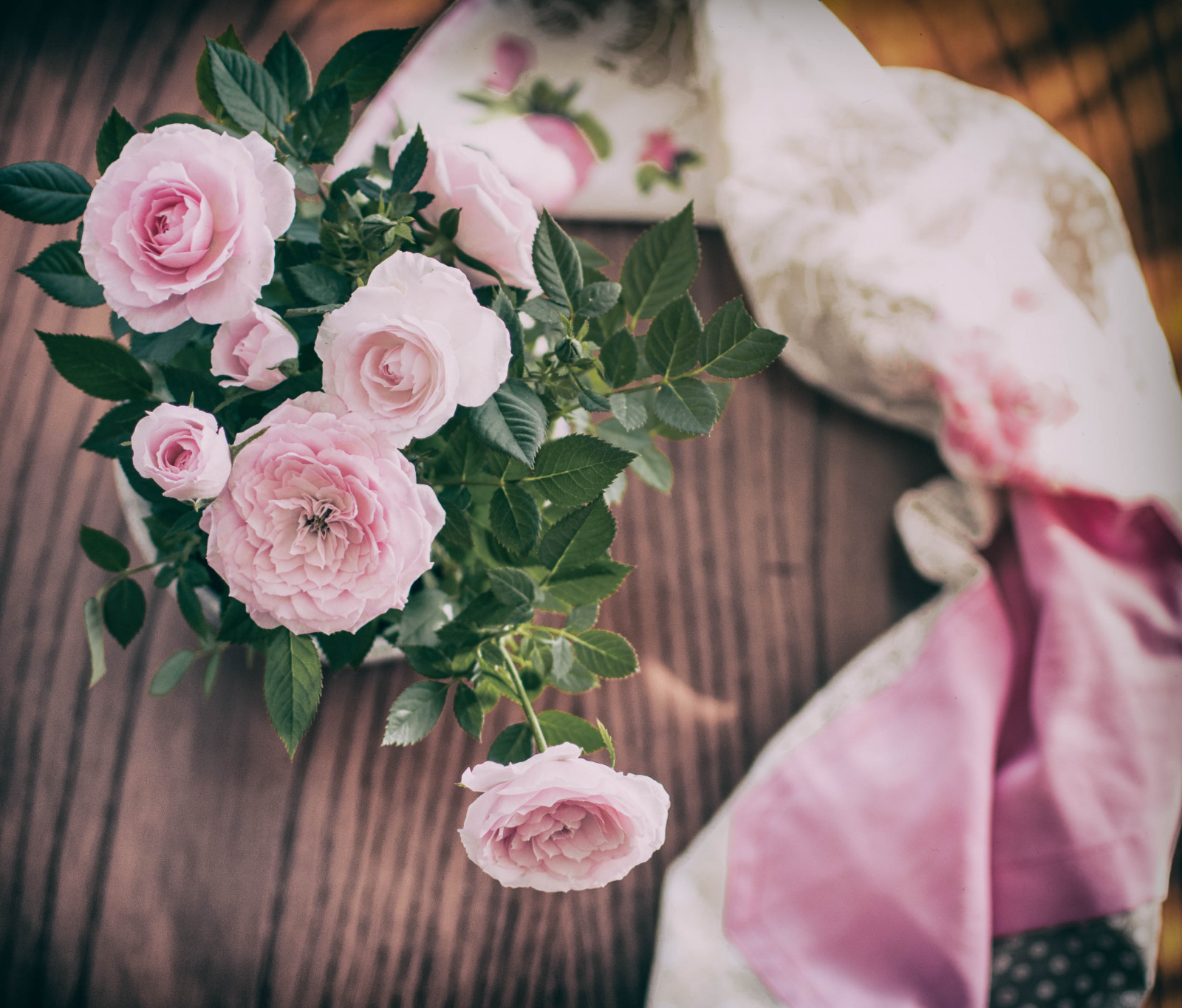 Rosas, růže, růžový, rosa, cenital, flores, květiny, Rosal