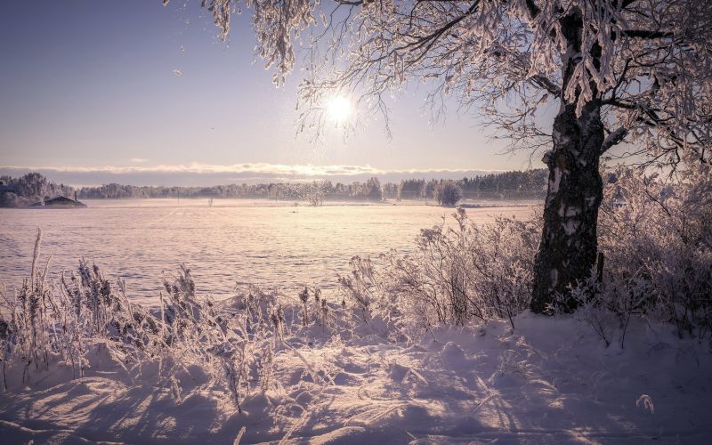 slunečnímu záření, krajina, Příroda, les, západ slunce, odraz slunečnímu záření, krajina, Příroda, les, západ slunce, odraz