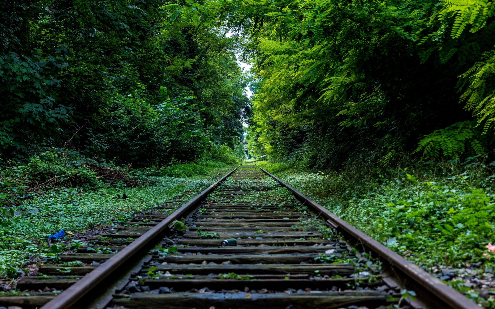 3840x2400 px, Příroda, kolejiště, stromy