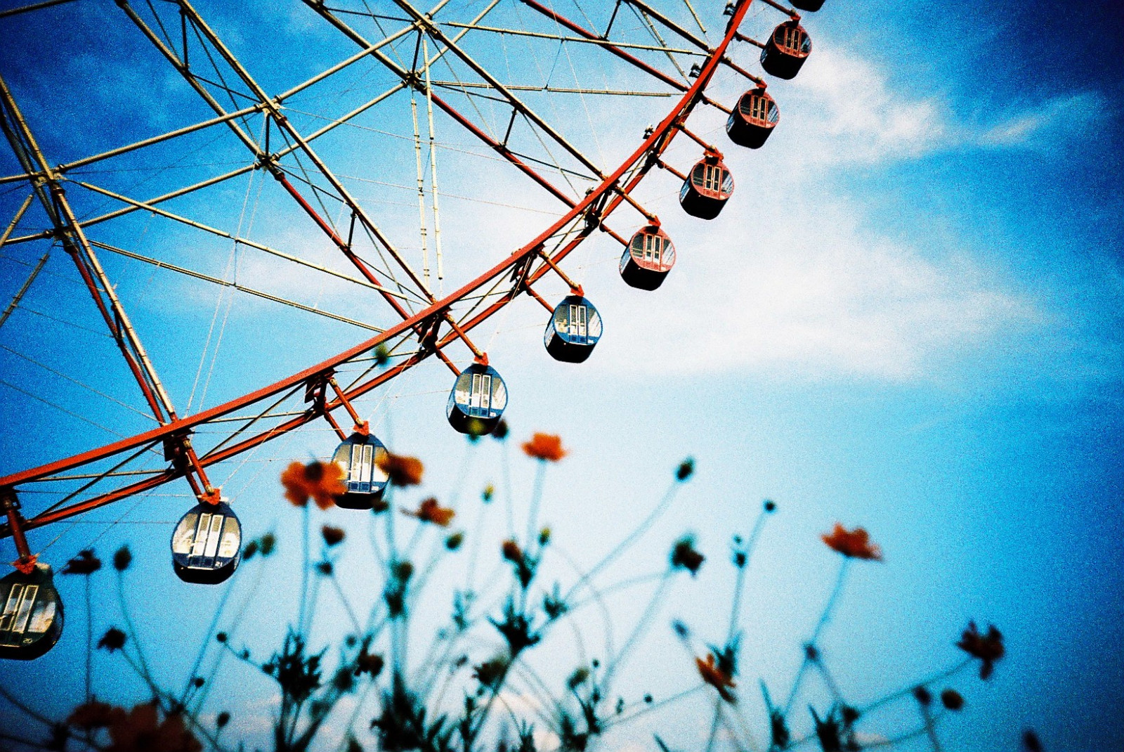 parkere, blå, lomo, LCA, kryds, pariserhjul, kasairinkaipark, trebi100c, lcarl