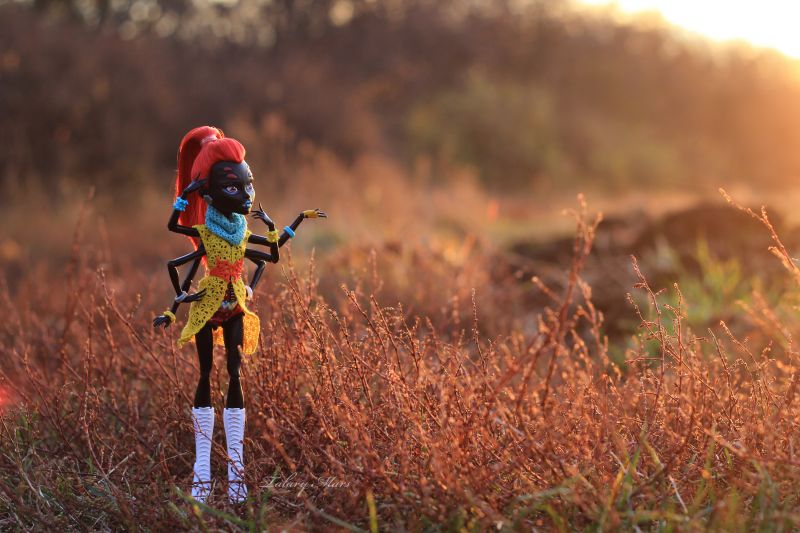 žlutý, Příroda, tráva, půda, pole, ráno