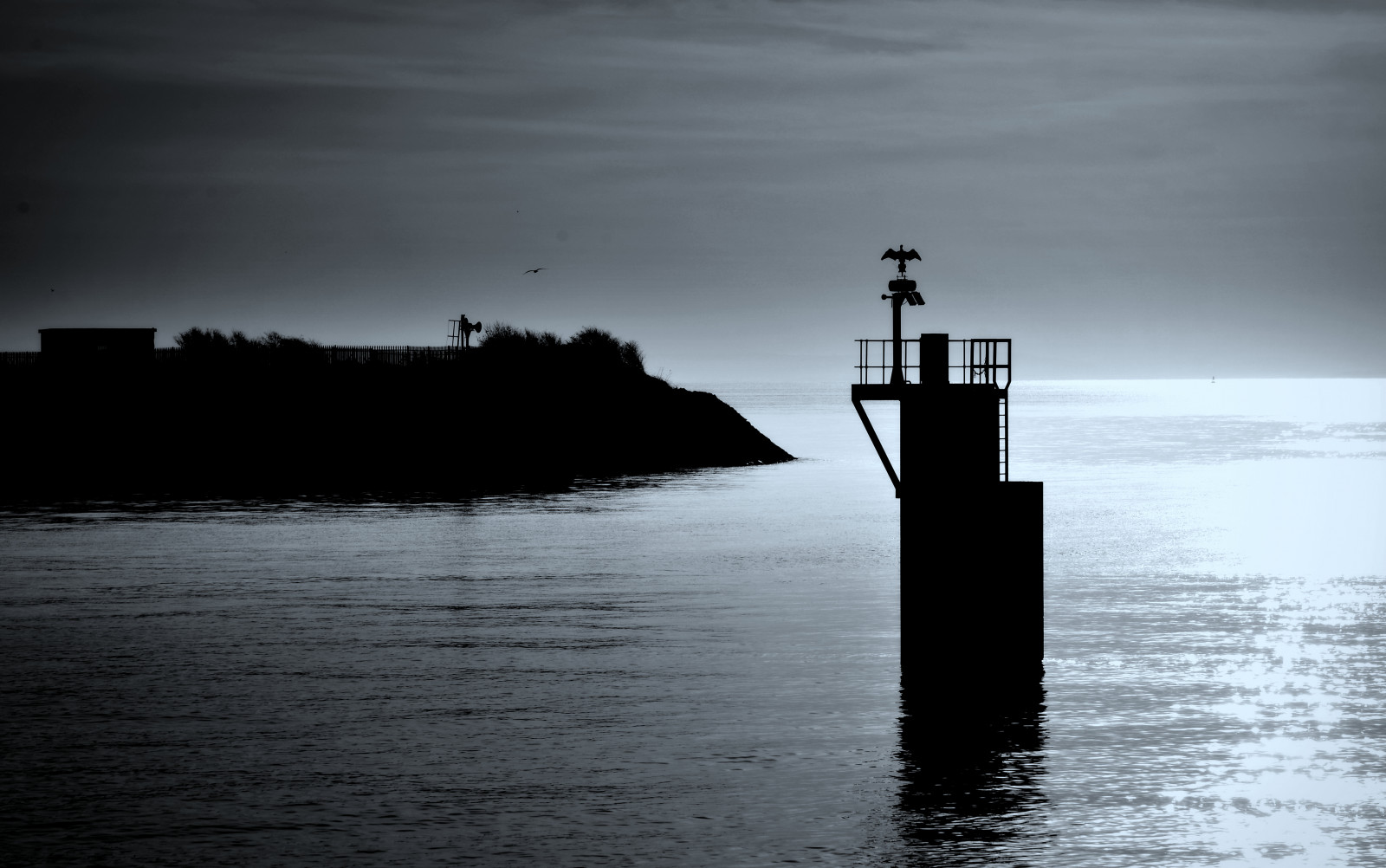 vita, UK, blu, leggero, mare, bw, nebbia, ispirazione, freddo, ARTE, natura, uccelli, silhouette, nebbia, Galles, notte, composizione, banchine, buio, paesaggio, costa, Nikon, sperimentale, umore, orizzonte, creativo, Cardiff, alto contrasto, atmosfera, misterioso, spaventoso, misterioso, cormorano, Concetto, momento, Catturare, toni, Cardiffbay, sbarramento, Canale di Bristol, D5100