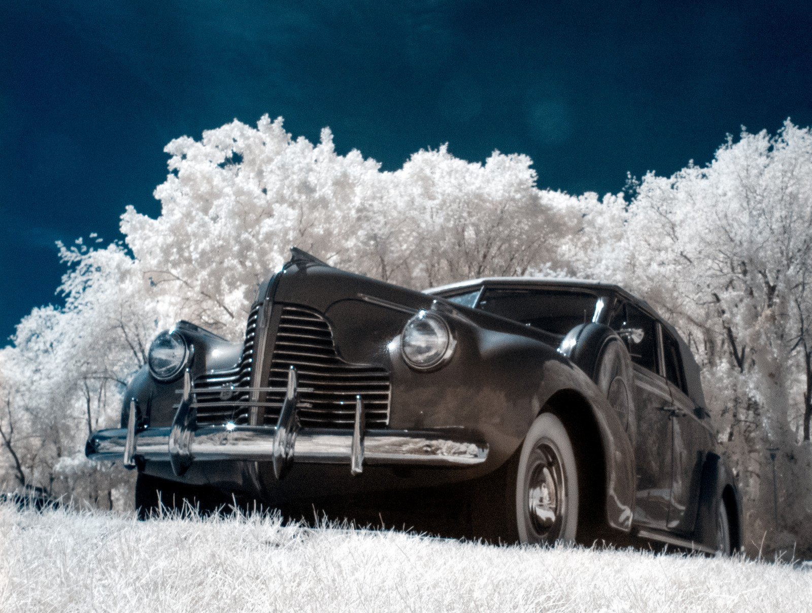 auto, tráva, nebe, vozidlo, fotografování, Buick, Slunný, Michigan, značka, práce, veteránem, klasická auta, chróm, Konvertibilní, Infračervený, antický, strom, prozkoumal, kolo, klasický, project365, Spojené státy americké, ricohcapliogx100, počítač tapeta, Černý a bílý, automobilového designu, kompaktní vůz, motorové vozidlo, osobní luxusní automobil, střední velikost auta, v plné velikosti vůz, 720nm, Kalamazoo, Whitewall, Kalamazoo County, Hoyainfraredr72filter, Project365248, Nikviveza, Khromageryfalsecoloraction, Project365061312, 1940buick8, automotive wheel system